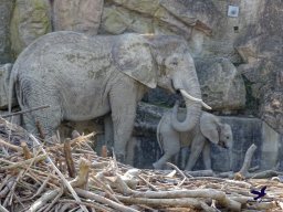 Tiergarten Schönbrunn am 05.03.2026